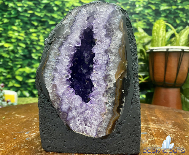 Amethyst Geode "I LIKE SHINY THINGS" 6.00 High Quality Rainbow Prisms Cathedral NS-129