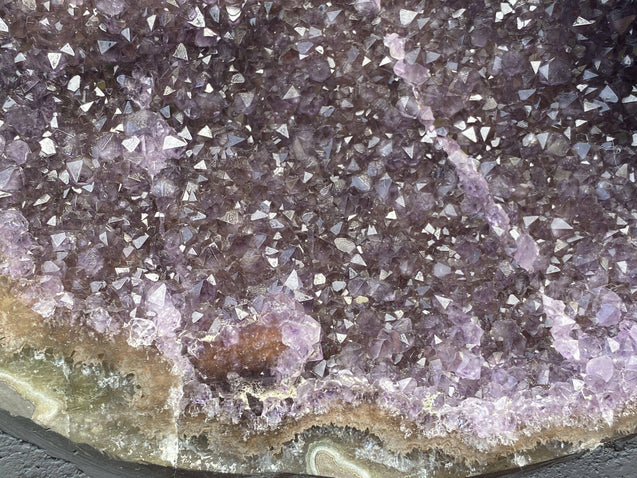 High Quality Amethyst Geode "PUMPED" 11.00 Agate Rim High Quality NS-118