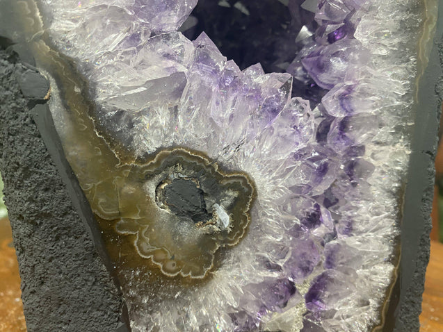 Brazil Amethyst Geode "BIG OLE' FLOWER" 9.00 High Quality Cathedral NS-131