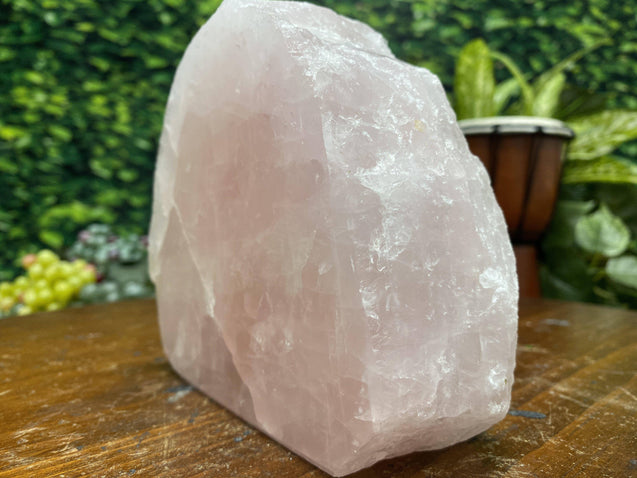 Rose Quartz "WACKY WONDERFUL" High Quality Gemstone of Love Display Specimen NS-168