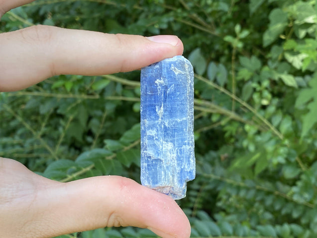 Kyanite Stone Shard "DIRECTION FROM ABOVE" High Quality Healing Crystal