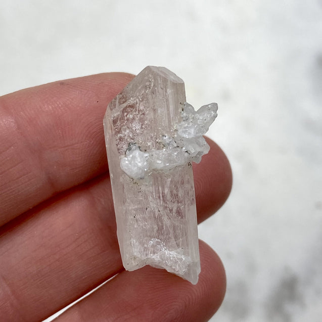 Danburite Crystal