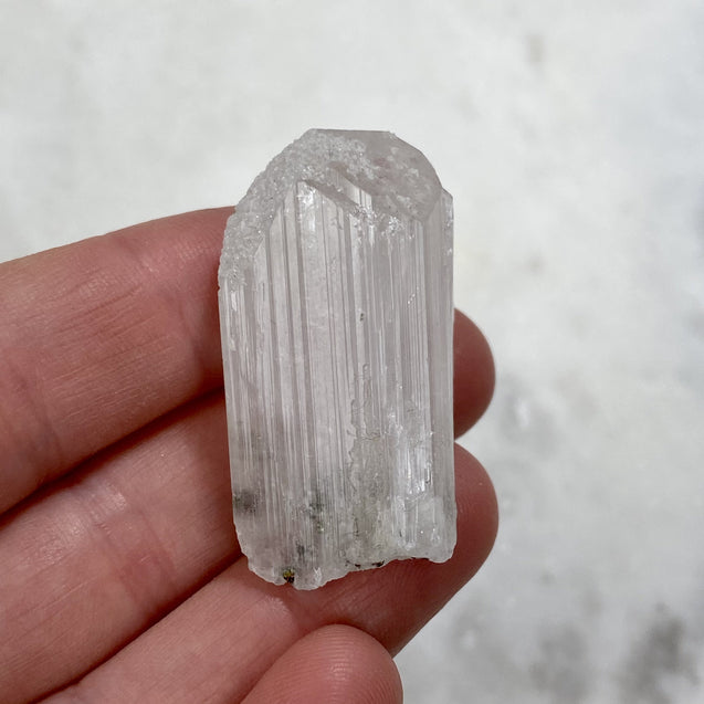 Danburite Crystal