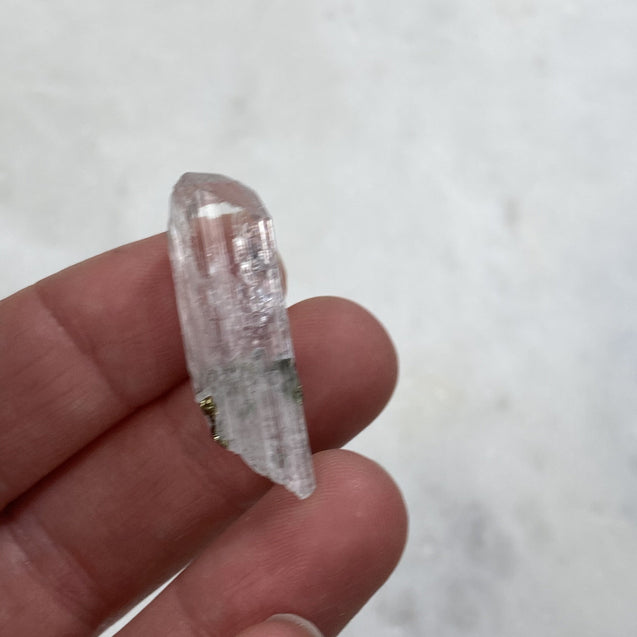 Danburite Crystal