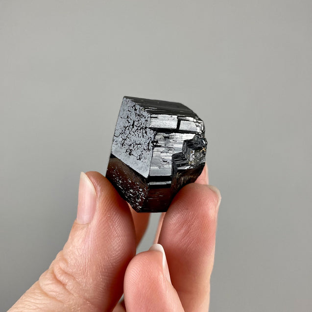 Black Tourmaline Natural Raw Crystal