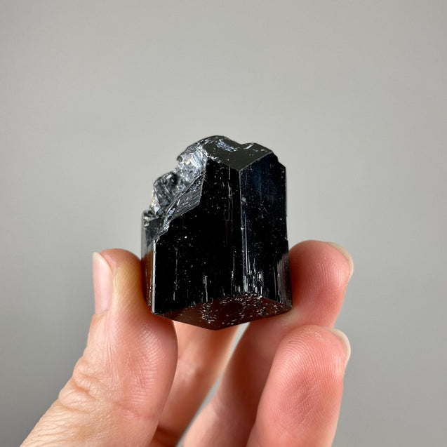 Black Tourmaline Natural Raw Crystal