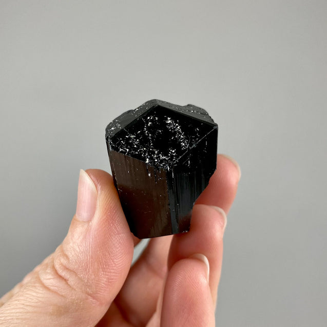 Black Tourmaline Natural Raw Crystal