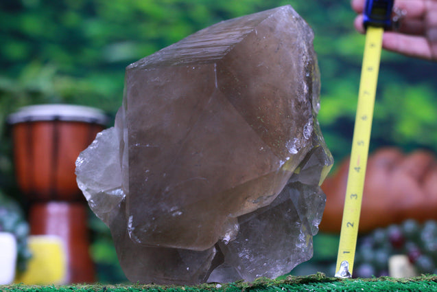 Huge Dark Smoky Quartz Point 9.00 High Quality Beacon of Strength QQ-66s