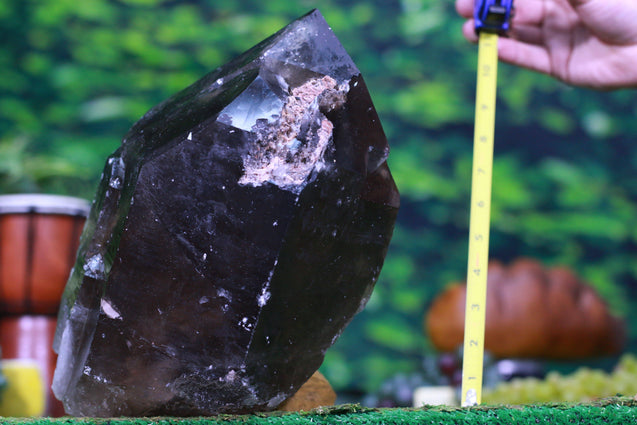 Huge Smoky Quartz Point 10.00 High Quality Rainbow Prisms QQ-58s