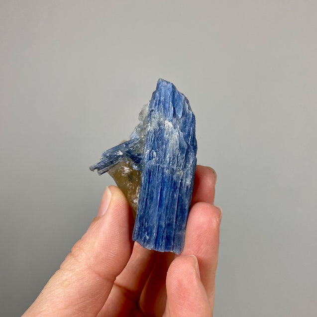 Blue Kyanite Crystal Cluster