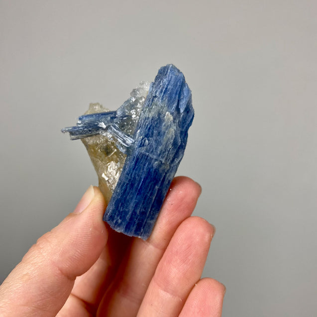 Blue Kyanite Crystal Cluster