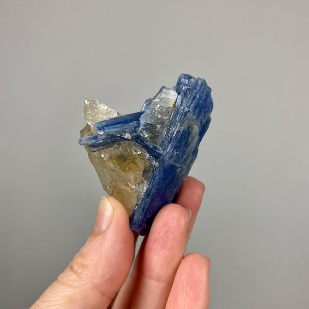 Blue Kyanite Crystal Cluster