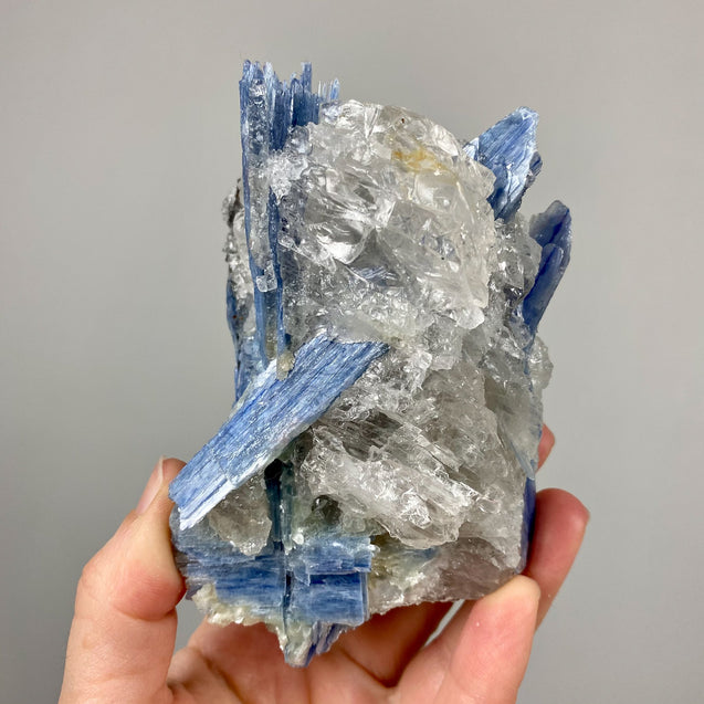 Blue Kyanite Crystal Cluster