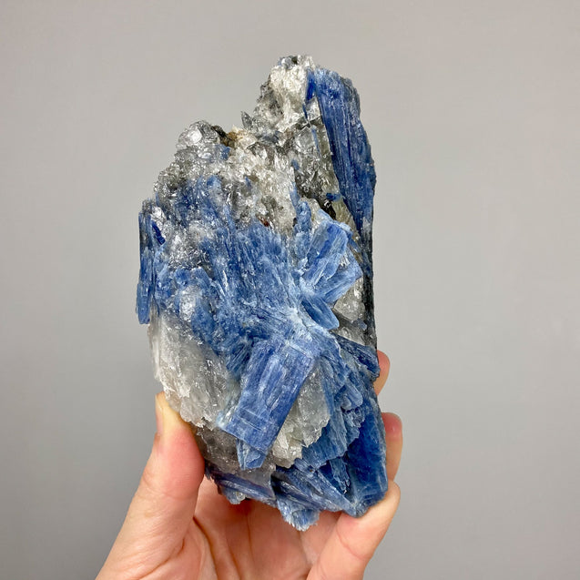 Blue Kyanite Crystal Cluster