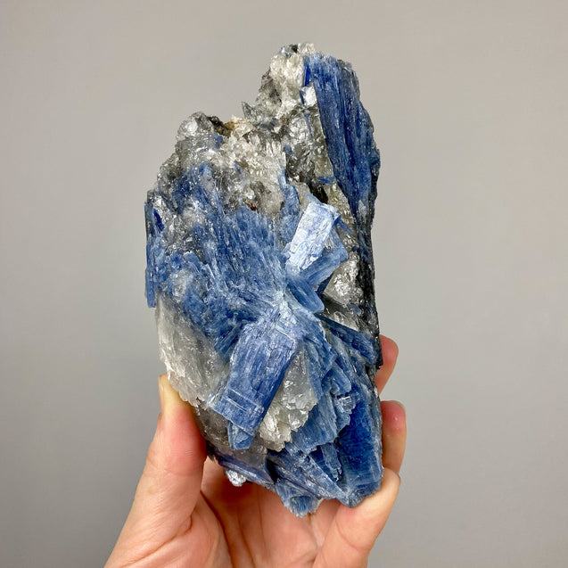 Blue Kyanite Crystal Cluster