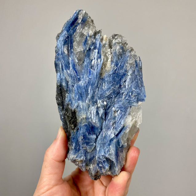 Blue Kyanite Crystal Cluster