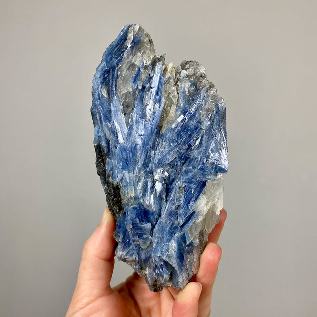 Blue Kyanite Crystal Cluster