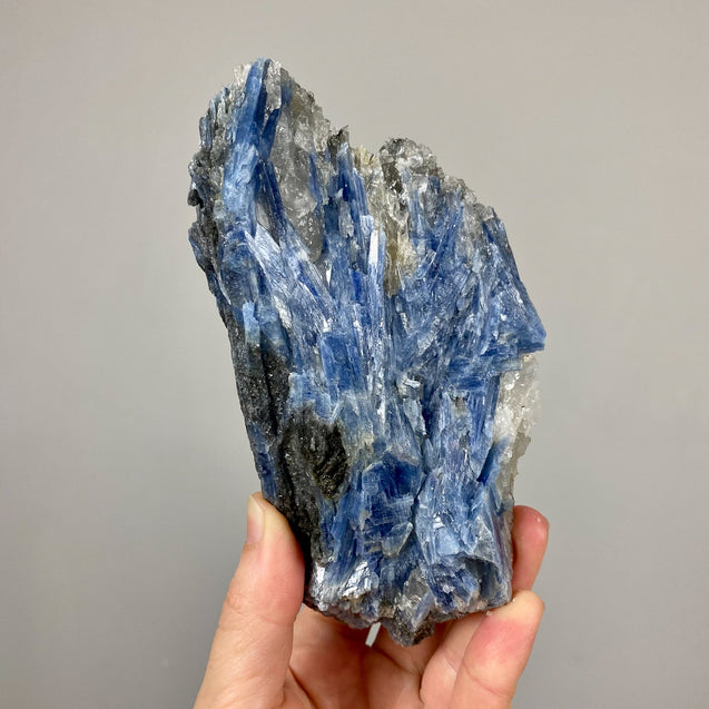 Blue Kyanite Crystal Cluster