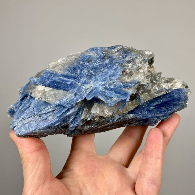 Blue Kyanite Crystal Cluster