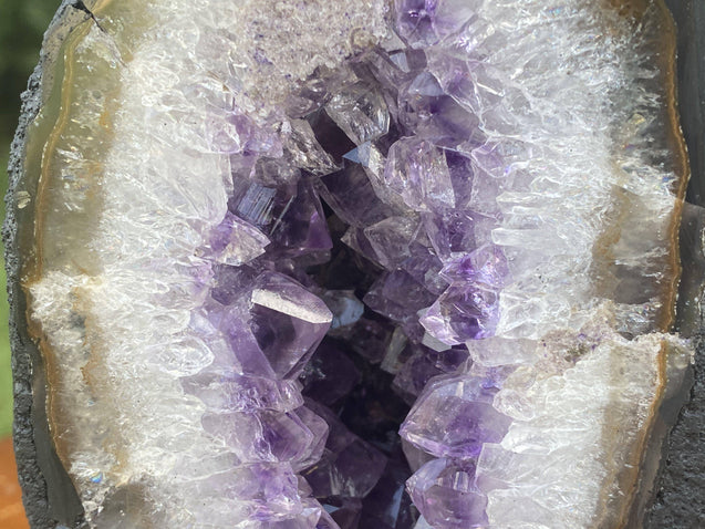 Amethyst Geode "LIPS OF MOTHER NATURE" 7.50 Rainbow Prism Crystals NS-13