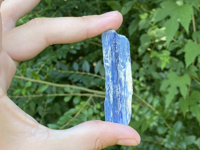 Kyanite Stone Shard "DIRECTION FROM ABOVE" High Quality Healing Crystal