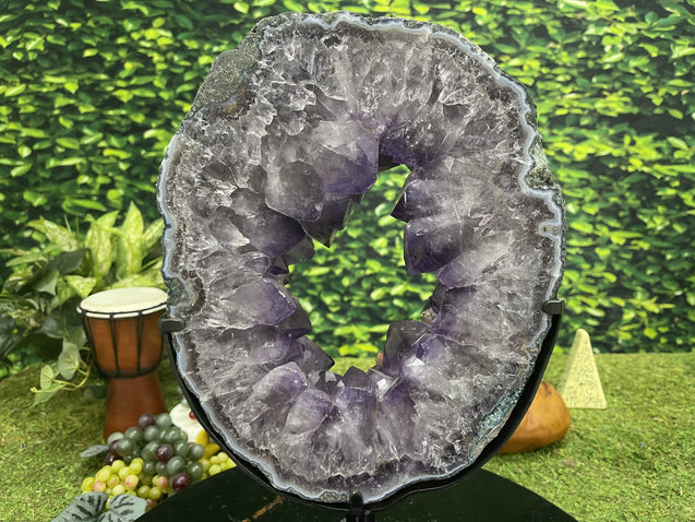 "CIRCLE OF LIFE" Amethyst Geode Slice 16.00 High Quality Brazil Crystal NS-395