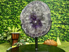 "GONG OF REFINEMENT" Amethyst Geode Slice 17.00 High Quality Crystal NS-406