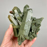 Chlorite Phantom Quartz Crystal Cluster