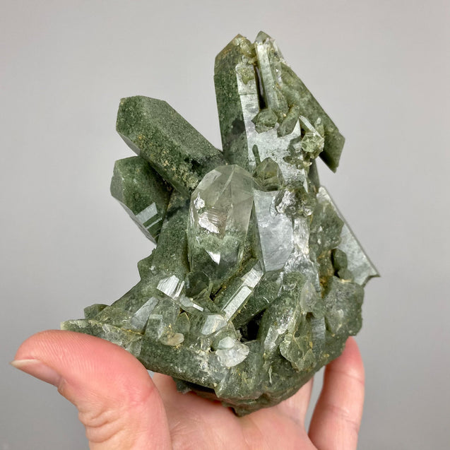 Chlorite Phantom Quartz Crystal Cluster