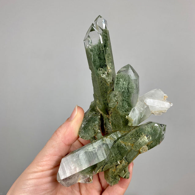 Chlorite Phantom Quartz Crystal Cluster