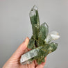 Chlorite Phantom Quartz Crystal Cluster