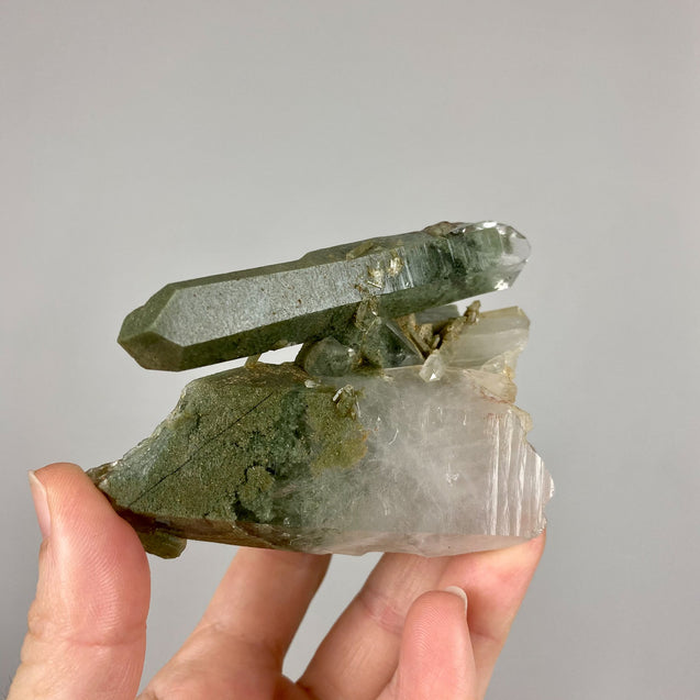 Chlorite Phantom Quartz Crystal Cluster