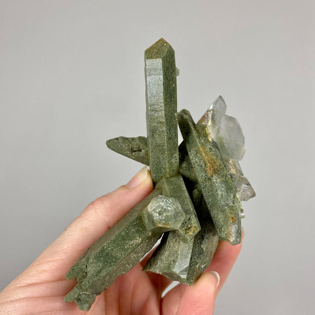 Chlorite Phantom Quartz Crystal Cluster