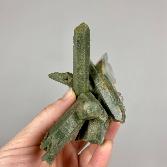 Chlorite Phantom Quartz Crystal Cluster