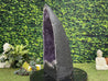 "THREE LITTLE BIRDS" Huge Amethyst Geode 24.00 High Quality Crystal Cathedral NS-516