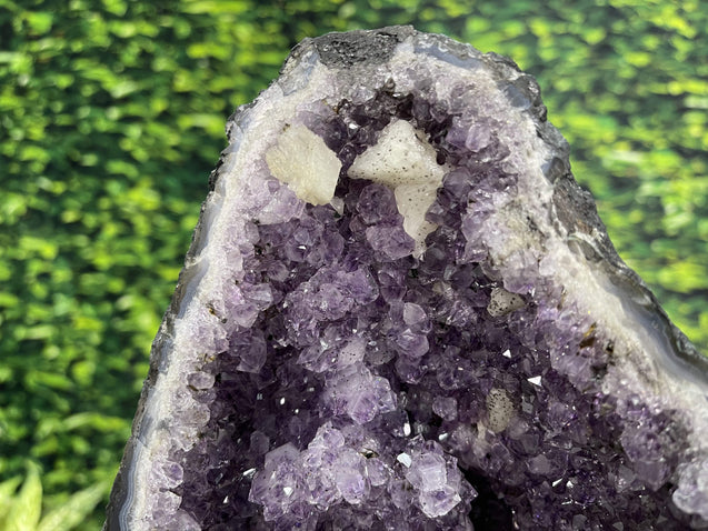 "THREE LITTLE BIRDS" Huge Amethyst Geode 24.00 High Quality Crystal Cathedral NS-516