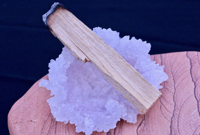 Palo Santo Sticks Energy Cleansing Set Smudging Abalone Shell Holy Wood