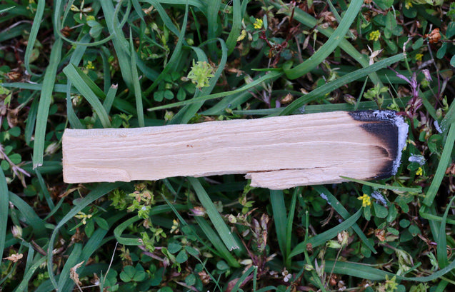 Organic Palo Santo Stick Smudging Energy Cleansing Smoke