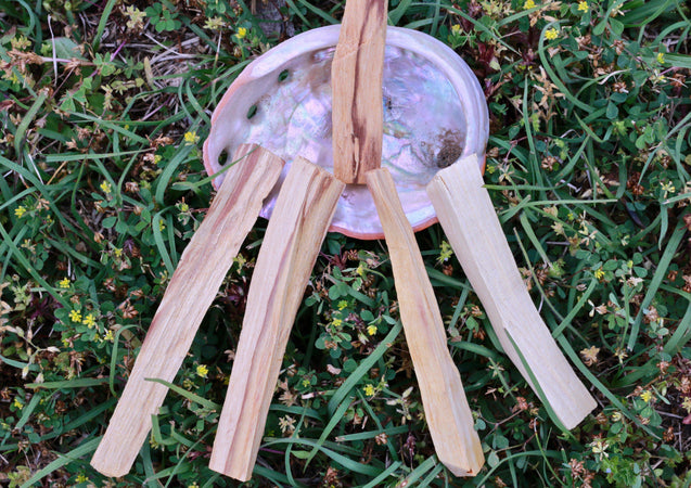 Palo Santo Sticks Energy Cleansing Set Smudging Abalone Shell Holy Wood