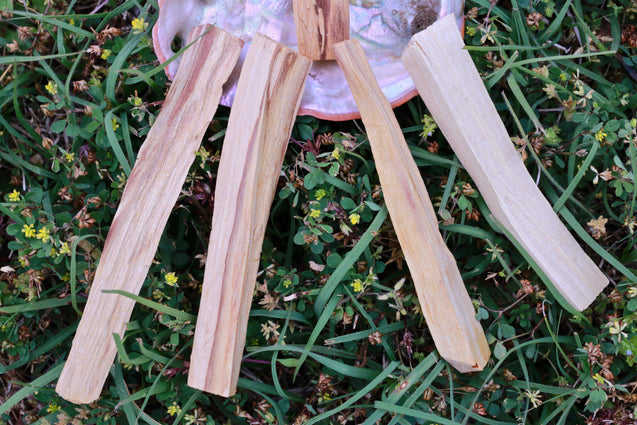 Organic Palo Santo Stick Smudging Energy Cleansing Smoke