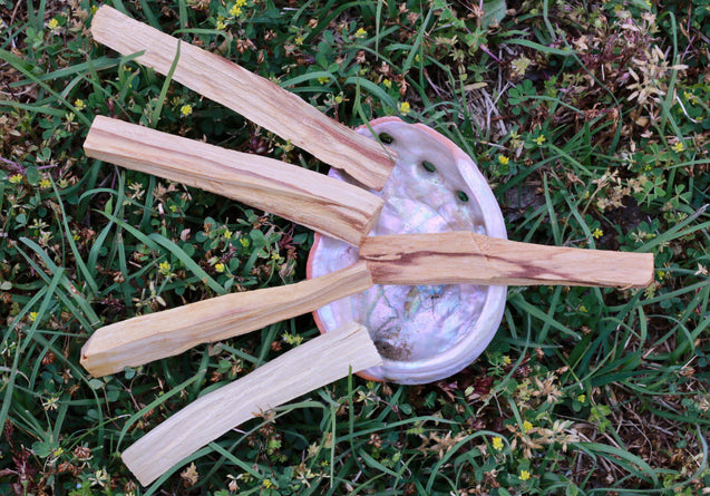 Palo Santo Sticks Energy Cleansing Set Smudging Abalone Shell Holy Wood