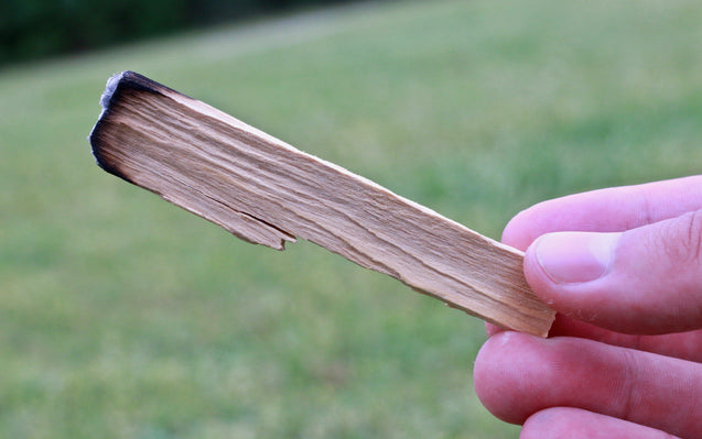 Palo Santo Sticks Energy Cleansing Set Smudging Abalone Shell Holy Wood