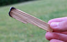 Palo Santo Sticks Energy Cleansing Set Smudging Abalone Shell Holy Wood