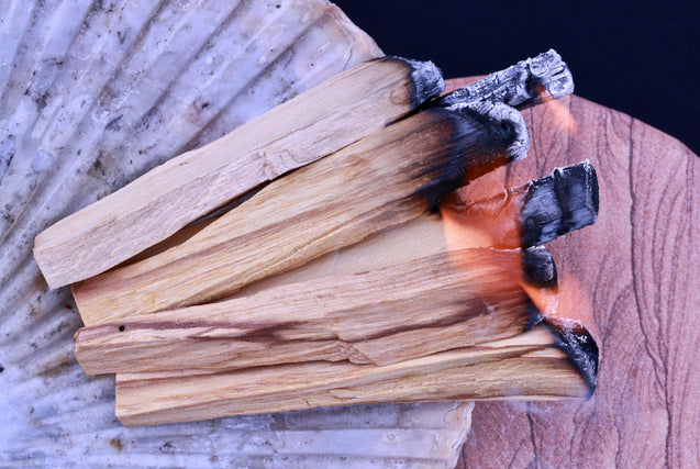 Palo Santo Sticks Energy Cleansing Set Smudging Abalone Shell Holy Wood