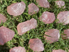 Rose Quartz Chips "SECRET MINE" Exceptional Quality Rarity LOVE GENERATOR