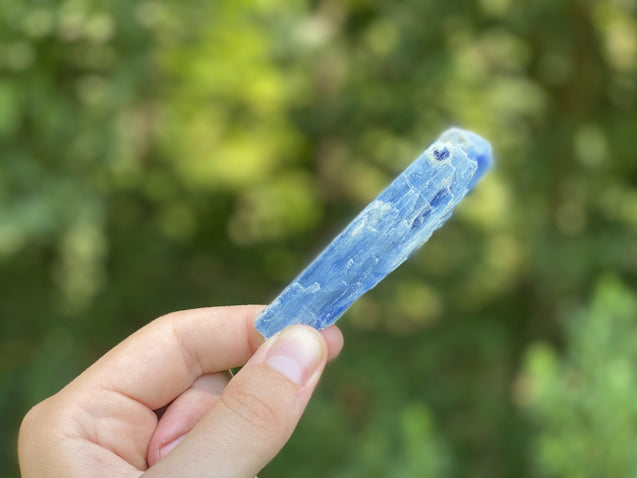 Kyanite Stone Shard "DIRECTION FROM ABOVE" High Quality Healing Crystal