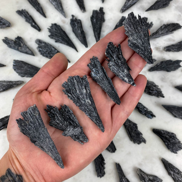 Black Kyanite Crystal