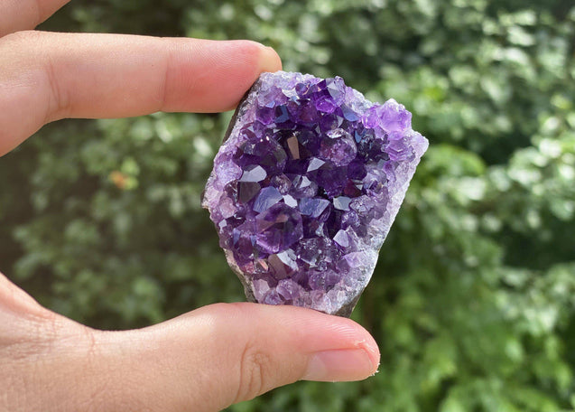 Amethyst Geode "Little Beauts" HEALING GRADE Spectacularly High Quality Specimen