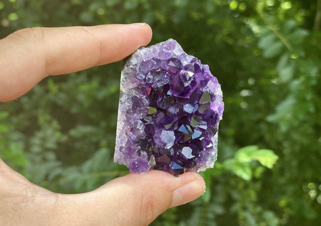 Amethyst Geode "Little Beauts" HEALING GRADE Spectacularly High Quality Specimen