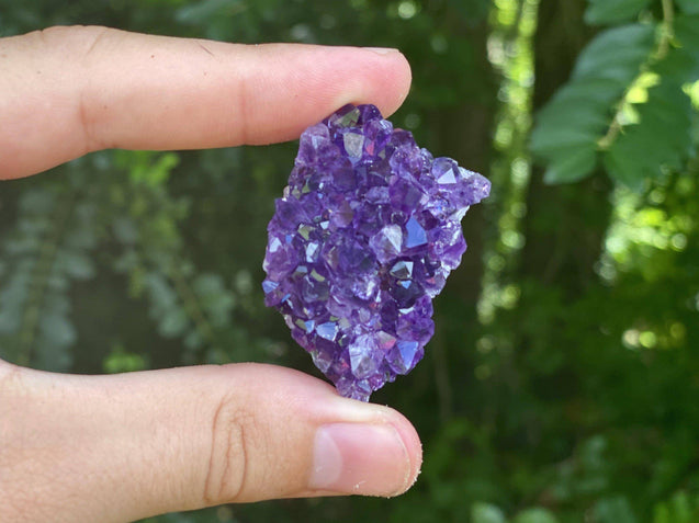 Amethyst Geode "Little Beauts" HEALING GRADE Spectacularly High Quality Specimen